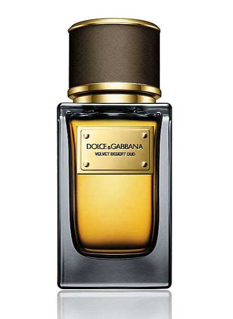 vaisselle dolce gabbana|Velvet Infusion Dolce&Gabbana for women and men.